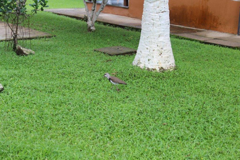 Associacao Sabesp - Sp Guest house *